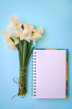 Bir parça kağıda kopya alanı ile mavi zemin üzerine güzel ışık sarı nergis buket