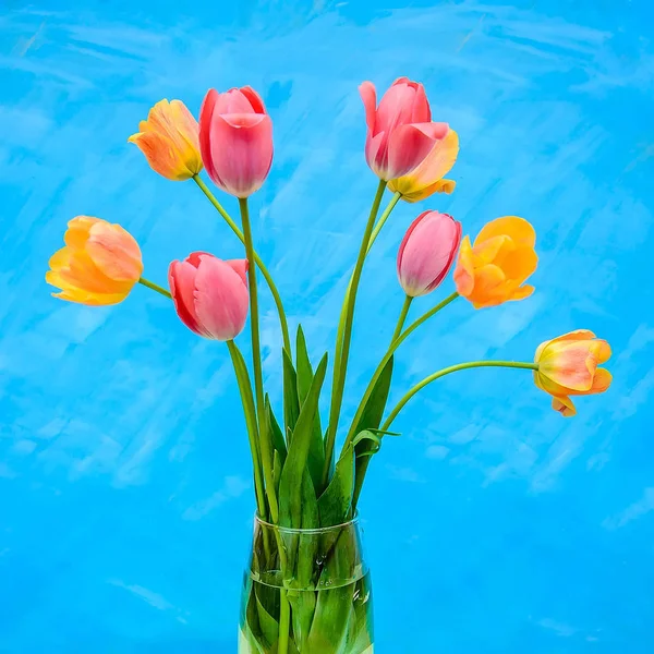 Ramo Delicados Tulipanes Rosados Anaranjados Jarrón Sobre Fondo Azul Brillante — Foto de Stock