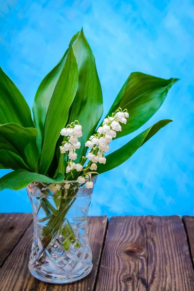 A small bouquet of white lilies of the valley with green leaves in a transparent vase on a wooden surface on a blue background