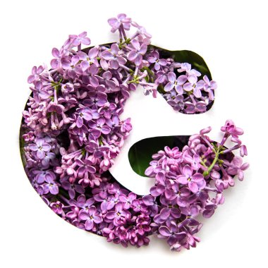 Bir güzel parlak mor çiçek Leylak Beyaz şablonda gelen İngilizce Alfabe harf G