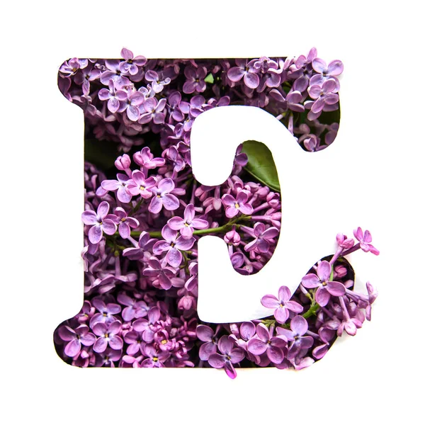 英文字母 从美丽的紫色的丁香花在白色的钢板蜡纸 — 图库照片