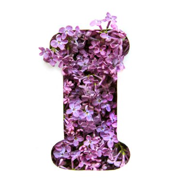 Mektubu ben Leylak Beyaz şablonda bir güzel parlak mor çiçekler den İngilizce alfabenin