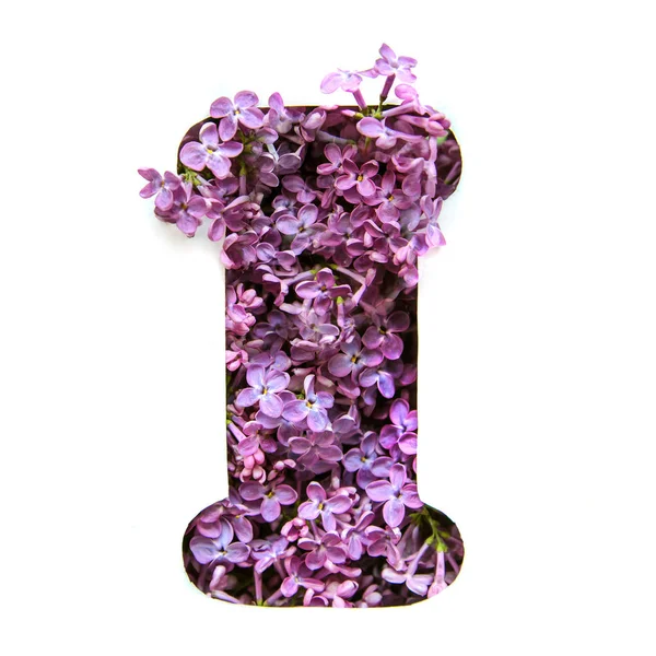 Mektubu ben Leylak Beyaz şablonda bir güzel parlak mor çiçekler den İngilizce alfabenin