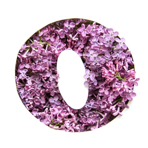 Bir güzel parlak mor çiçek Leylak Beyaz şablonda gelen İngilizce Alfabe harf O