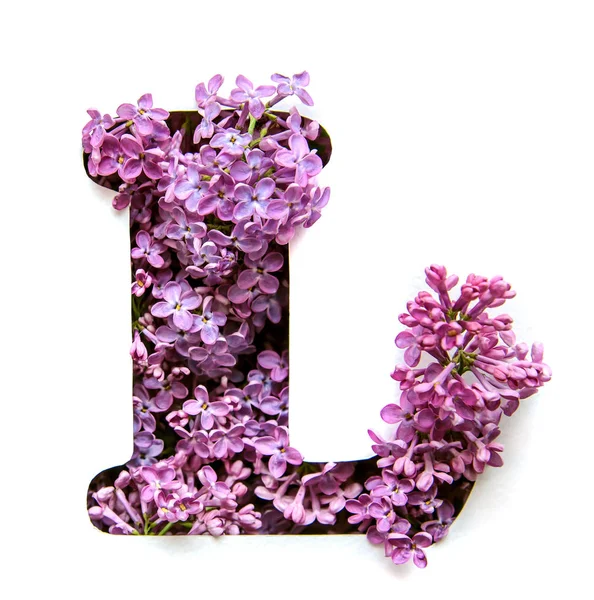 Bir güzel parlak mor çiçek Leylak Beyaz şablonda gelen İngilizce Alfabe harf L