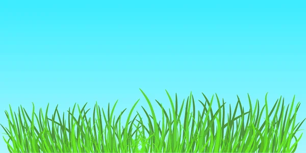 动画片浓厚的夏日绿草在蓝天背景下 — 图库矢量图片