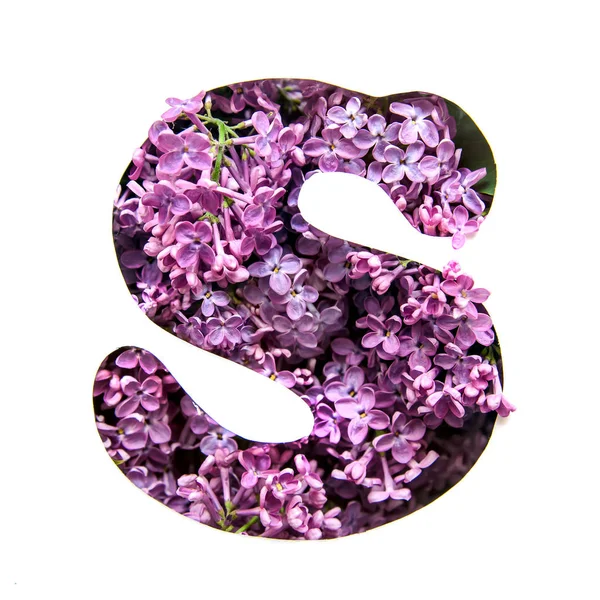 Буква Английского Habet Красивых Ярко Фиолетовых Цветков Лилака Белым Трафаретом — стоковое фото