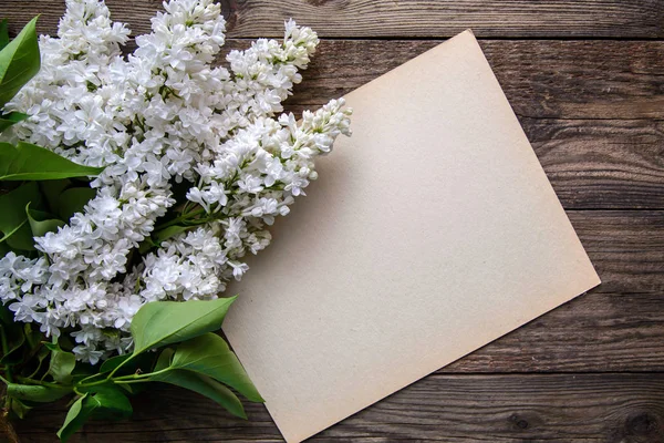 Biały Piękny Terry Perskie Liliowy Arkusz Papieru Pisania Drewnianym Tle — Zdjęcie stockowe