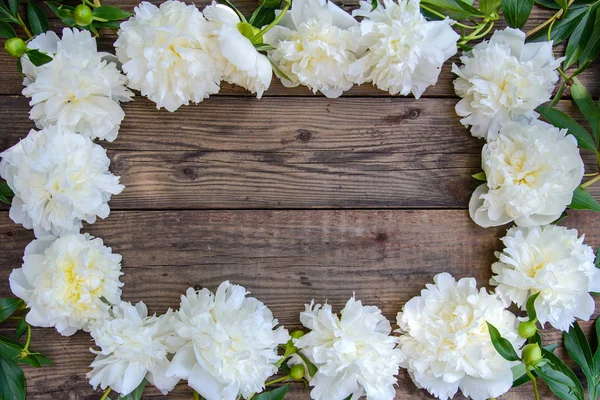 Hermoso Marco Exuberantes Flores Peonía Blanca Sobre Fondo Rústico Texturizado — Foto de Stock