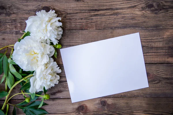 Egy Darab Papír Egy Gyönyörű Buja Három Fehér Bazsarózsa Rusztikus — Stock Fotó