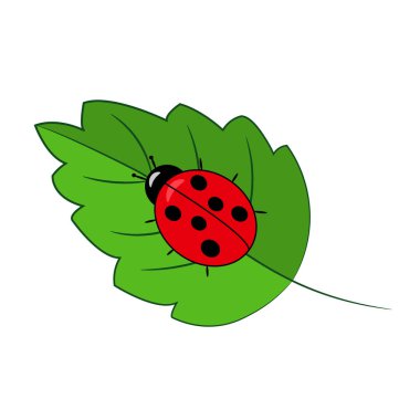 Üzerindeki yeşil yaprak, kırmızı uğur böceği izole beyaz bir arka plan üzerinde