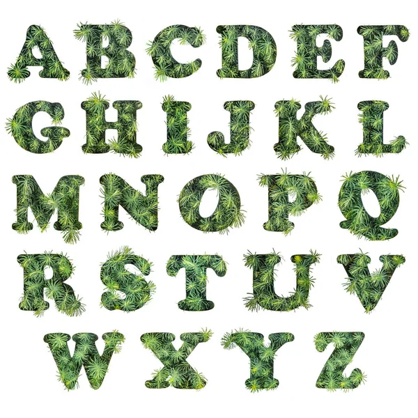 Alfabeto Inglês Belas Folhas Verdes Purslane Estêncil Papel Branco — Fotografia de Stock