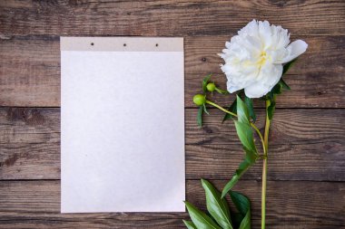 Kağıt levha ve kopya alanı, üstten görünüm ahşap rustik zemin üzerine güzel çiçek beyaz şakayık