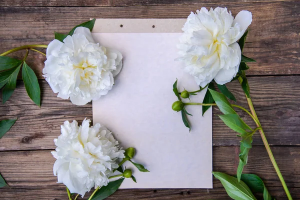 Sheet Paper Three Lush Beautiful White Peonies Wooden Rustic Background — Stock Photo, Image