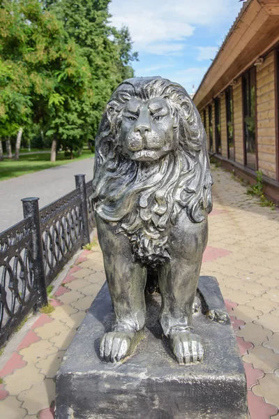 Beautiful bronze sculpture of a lion in the park in summer