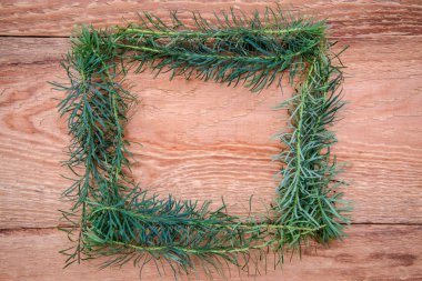 Portulac bir Noel ağacı ahşap rustik arka plan, üstten görünüm, kopya alanı gibi yeşil dal çerçevesinde