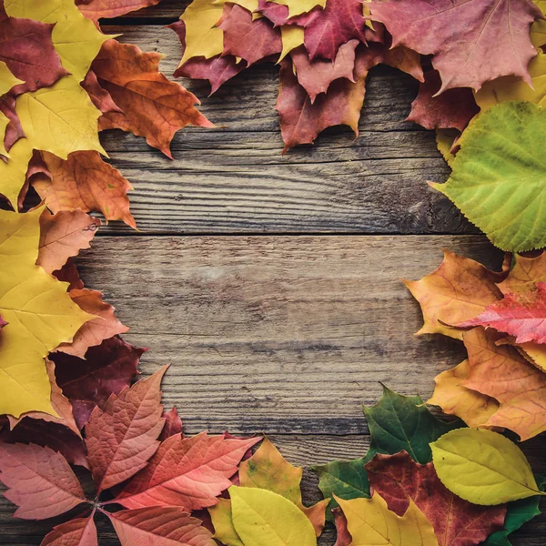 Square frame of autumn bright colored leaves on wooden rustic background with copy space