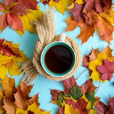 Bir fincan sıcak çay örme eşarp sonbahar yaprakları üzerinde mavi arka plan, üstten görünüm ile sonbahar resmi kare