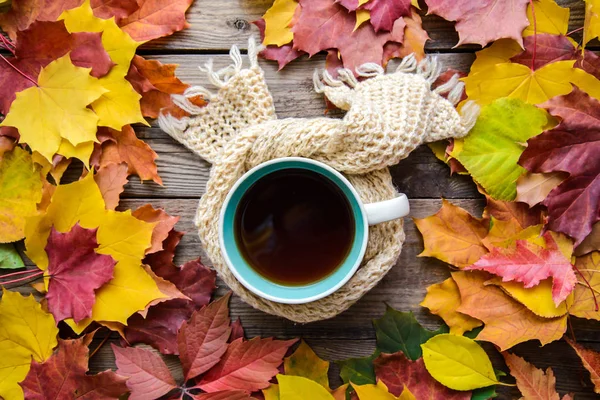 Horizontal autumn picture with a cup of hot tea in a knitted scarf in autumn leaves on a wooden rustic background, top view