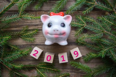 Yeni yıl resmi bir çerçeve Noel ağacı dalı ve 2019 - ahşap arka plan üzerinde domuz sembolü ile