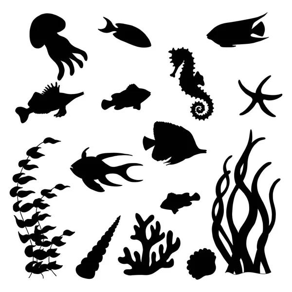 Verzameling Van Vector Van Zwarte Silhouetten Van Verschillende Zeevis Seahorse — Stockvector