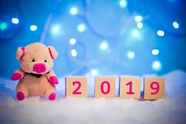 Karda küçük bir domuz ve 2019 yılbaşı ışıkları ile mavi bir arka plan ile Noel tatil resmi