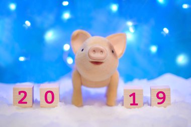 Karda bir domuz ve 2019 yılbaşı ışıkları ile mavi bir arka plan ile Noel tatil resmi