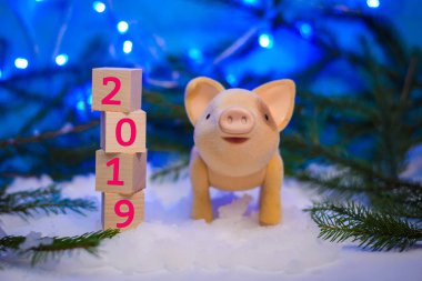 Karda bir domuz ve 2019 yılbaşı ışıkları ile mavi bir arka plan ile Noel tatil resmi