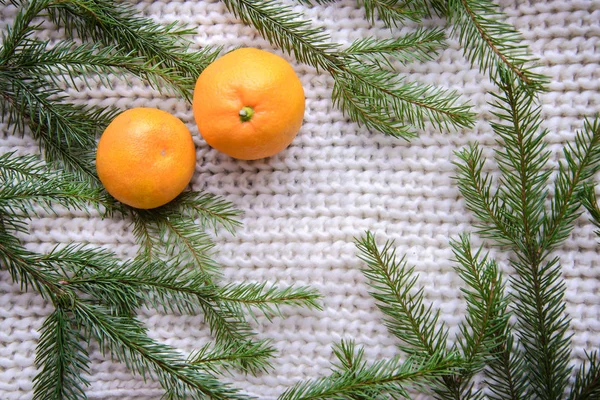 Mysig vinterbild av en mandarin och julgran grenar på bakgrunden av stickad halsduk — Stockfoto
