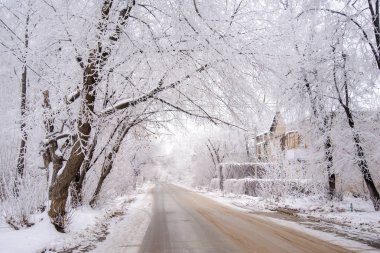 Kış City karla kaplı ağaçlar ve evler yol