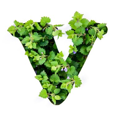 Beyaz kağıt şablonda yeşil bitkilerin yaprakları İngilizce Alfabe harf V