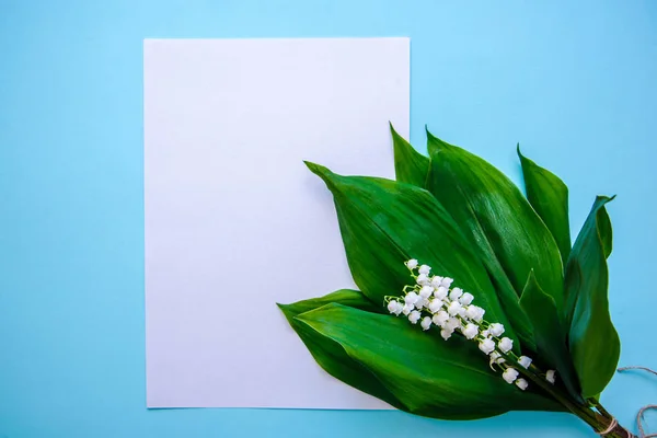 Bouquet of lilies of the valley and a sheet of paper on a blue background