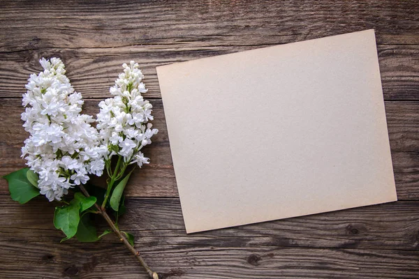 White lilac branch and a piece of paper on a wooden background — Stock Photo, Image