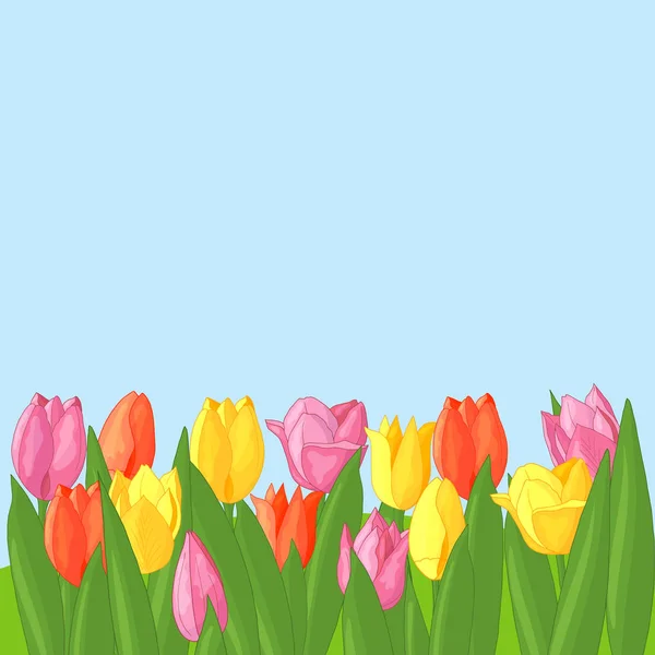 Vector tulipanes multicolores sobre fondo azul — Vector de stock