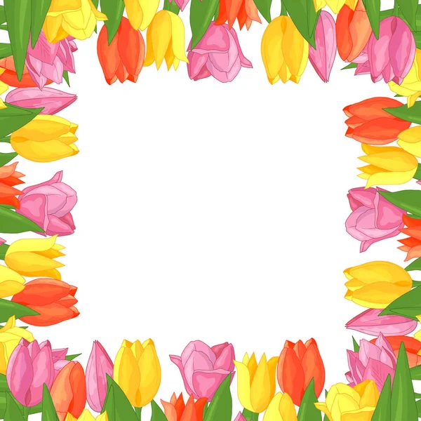 Cadre de tulipes colorées — Image vectorielle