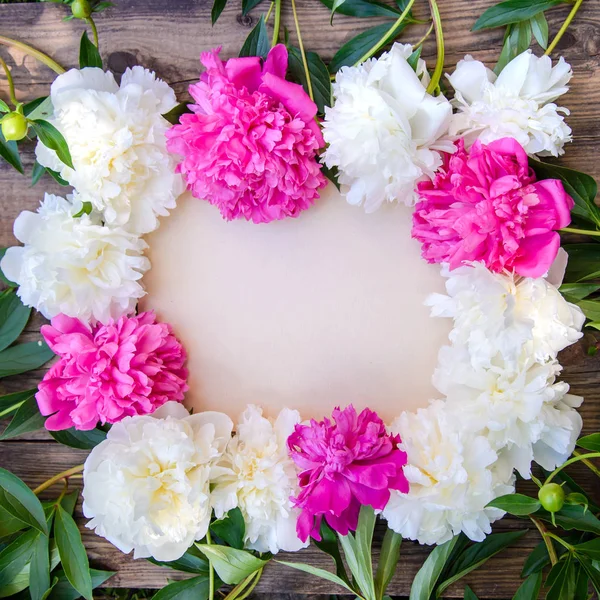 Hermoso marco de peonías blancas y rosadas — Foto de Stock