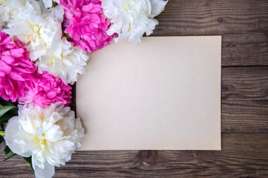 Beyaz ve pembe şakayık güzel çerçeve