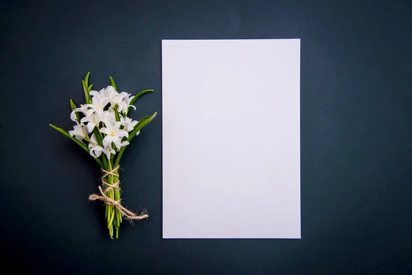 Malé bílé Ladoňka květiny na tmavě zeleném pozadí — Stock fotografie