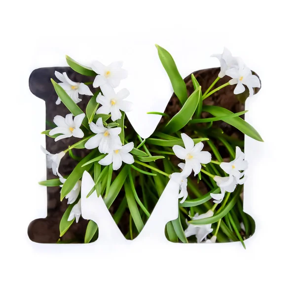 La letra M del alfabeto inglés de pequeñas flores blancas — Foto de Stock
