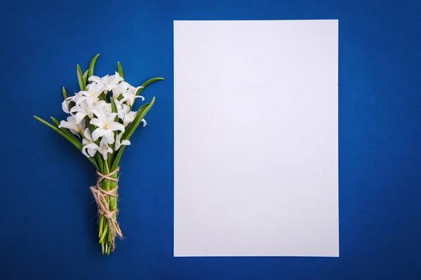 Kytice bílých květů Chionodoxa a prázdný list papíru na modrém pozadí — Stock fotografie