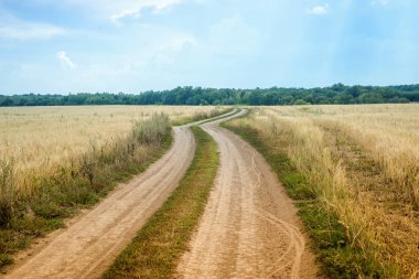 Yaz lık alanda kırsal yol ile peyzaj