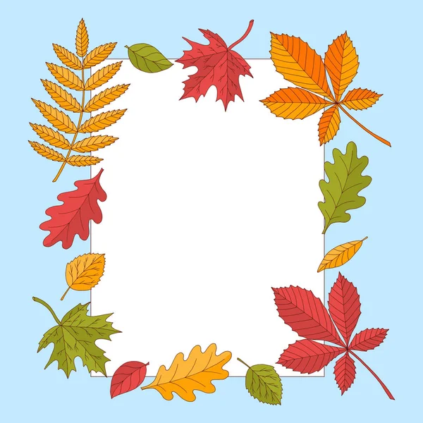 Hermoso marco de hojas de otoño — Vector de stock