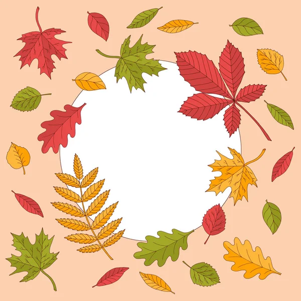 Marco con hojas de otoño — Vector de stock