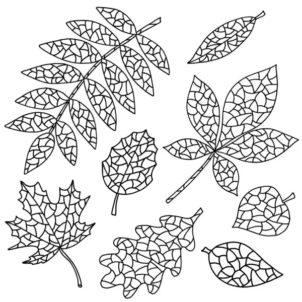 Ensemble de feuilles abstraites, page à colorier — Image vectorielle