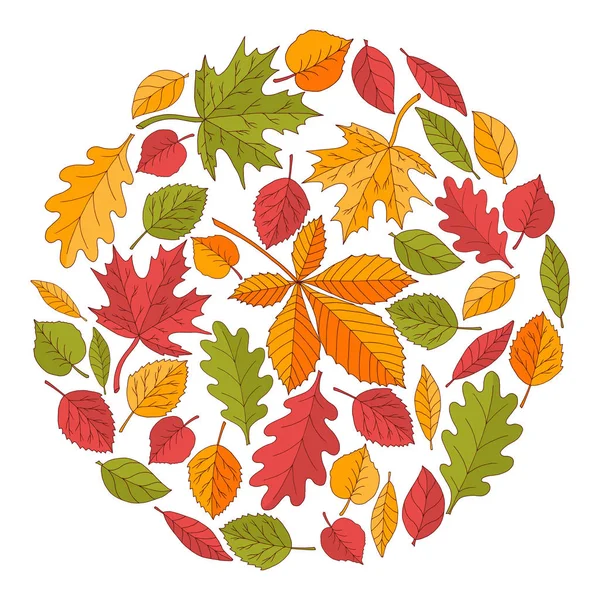 Círculo de hojas de otoño sobre un fondo blanco — Vector de stock