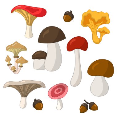 Beyaz arkaplanda yenebilir mantarlı vektör seti