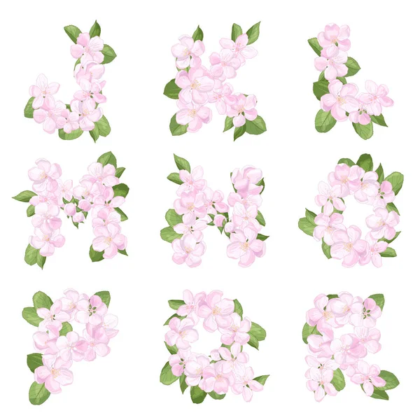 Письма Английского Алфавита Розовых Цветов Яблони Изолировать Белом Фоне Шрифт — стоковый вектор