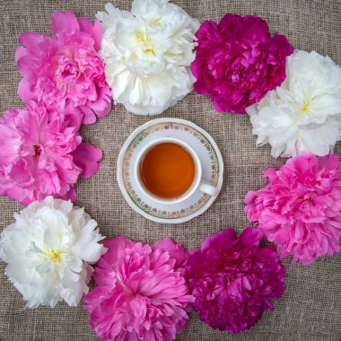 Beyaz ve pembe şakayık çiçekleriyle çevrili bir fincan çay.