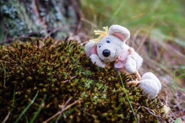 Yazın yeşil ormanda, yosunların üzerinde oyuncak sevimli beyaz fare, kopyala uzayı.