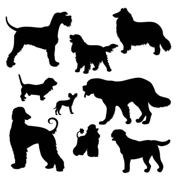 Vector Set Met Zwarte Silhouetten Van Honden Van Verschillende Rassen — Stockvector